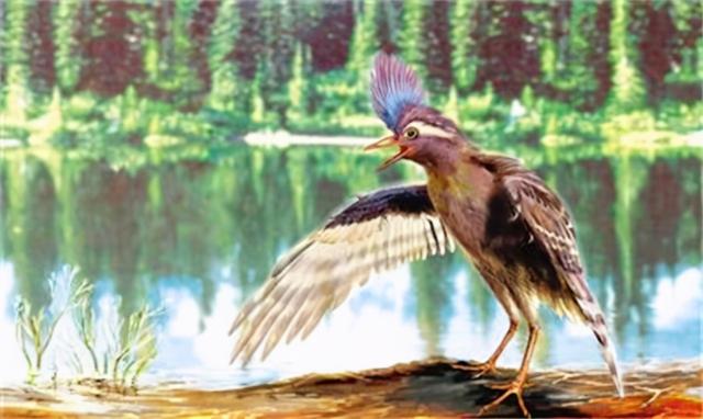 鸡是哺乳动物吗，哺乳动物有哪些（它们之间相差6000万年）