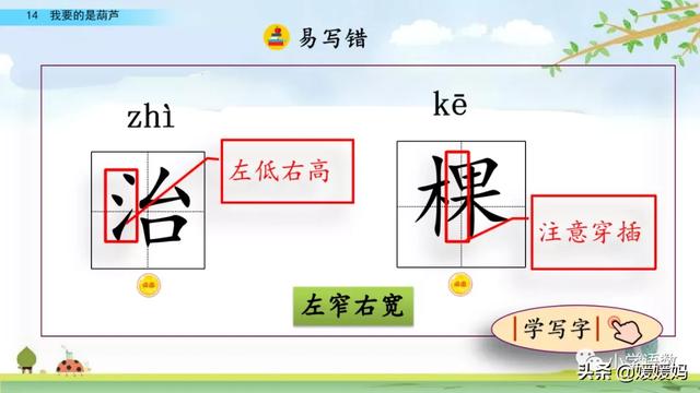 什么的枝叶填空，什么枝叶填空二年级（部编版二年级上册第14课《我要的是葫芦》课件及同步练习）