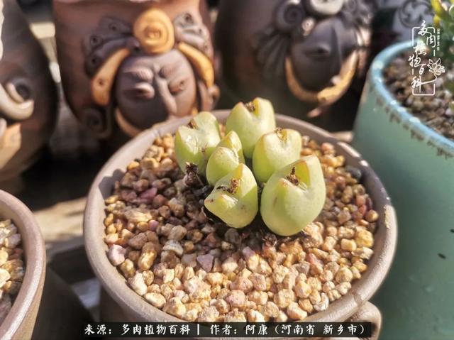 2021九·一八事变是多少周年，2021年是九一八事变的几周年（献给2021最好的春天）