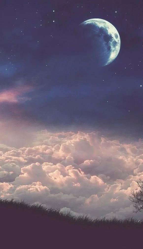 高清动漫壁纸：仰望星空.，高清动漫壁纸竖屏（仰望星空、大海和你的回忆图片）