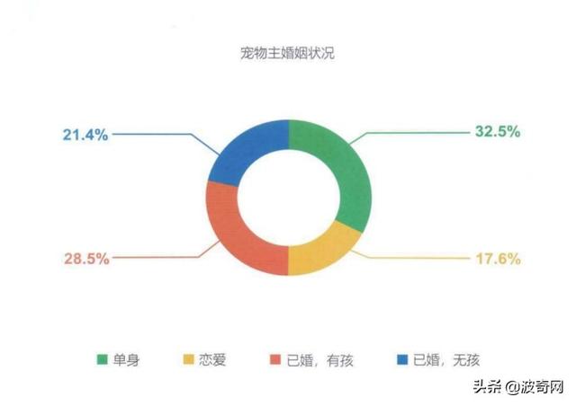 宠物婚介，从官园到闲鱼的“它相亲”蓬勃发展的细分市场