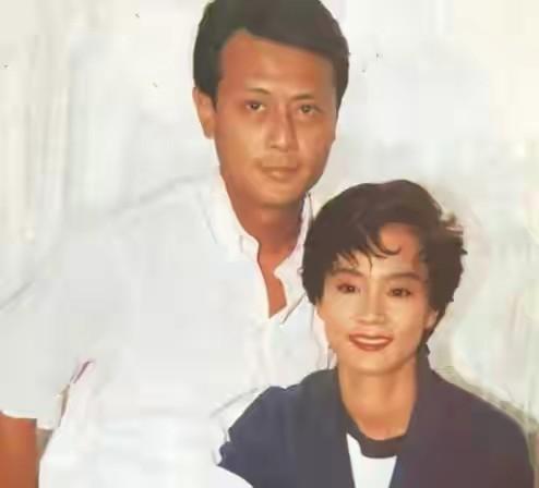 刘德凯和刘雪华，刘雪华电视剧大全集（刘德凯就这样改写了刘雪华的结局）