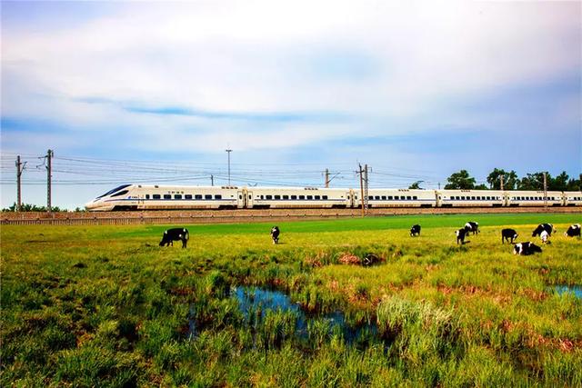 硬座是什么意思，硬座和硬卧的区别（G、D、C、Z、T、K、L、Y）