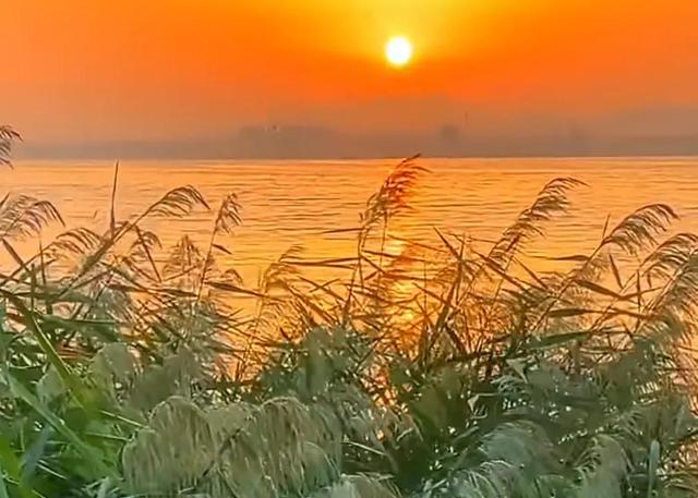 入目无他人，四下皆是你，入目无他人,满眼皆是你下一句（四下皆是你；你的存在图片）