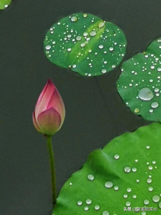 沉默是金歌词，沉默是金歌词完整版（歌词：沉默是金）