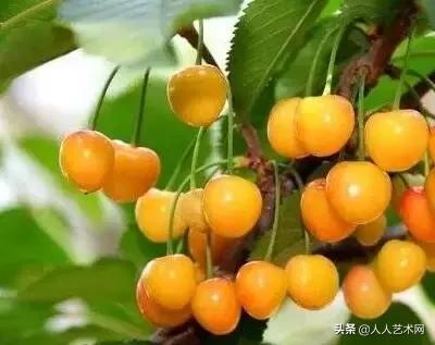 山东诸城的具体资料，诸城百度百科（诸城简历竟然是这样的）