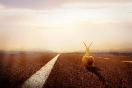 李七月简介 个人资料，李七月简介（90后“天才少年”刚毕业就年薪200万）