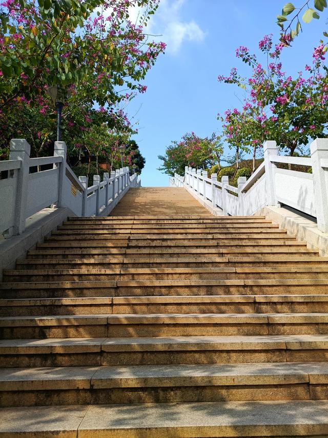 東莞旅遊景點大全,大嶺山公園(留莞過年全免費遊玩的八大景點)