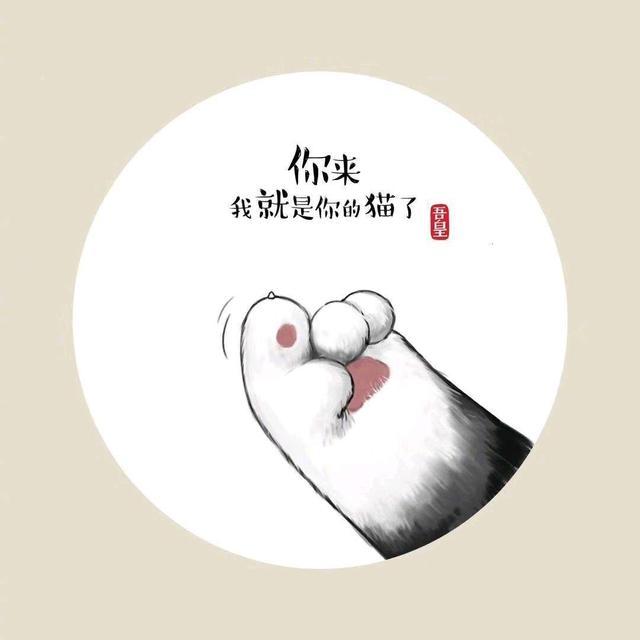 萌萌的猫爪高清‘手机壁纸’，猫爪墙纸图片大全可爱（一系列猫爪高清壁纸）