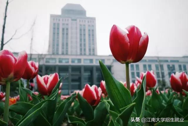 江南大学多大，江南大学多大亩（12个本科宿舍园区）