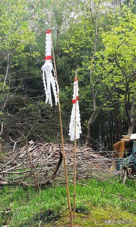 清明扫墓挂纸怎么折,扫墓挂的白纸怎么叠(清明节城里人扫墓)