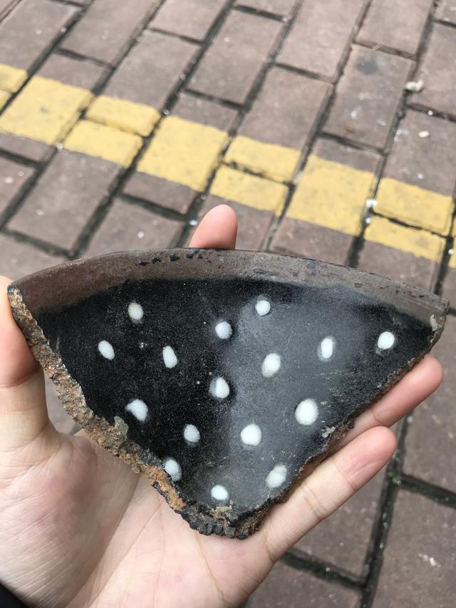 珍珠龙胆石斑鱼 ,珍珠龙胆石斑鱼养殖技术(解密宋代珍珠斑建盏)