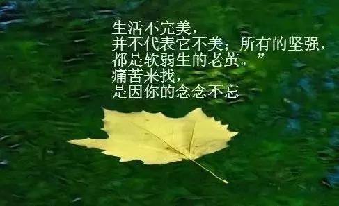 好心情的句子短语，发个开心的朋友圈（每天保持好心情的说说）