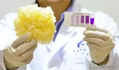 血燕是什么,血燕是什么味道(血燕是燕子吐血而成) 血燕是什么,血燕是什么味道(血燕是燕子吐血而成)