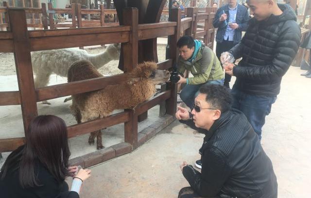 于谦宠物乐园，从自然百态中品人生哲学（于谦宠物乐园招工）