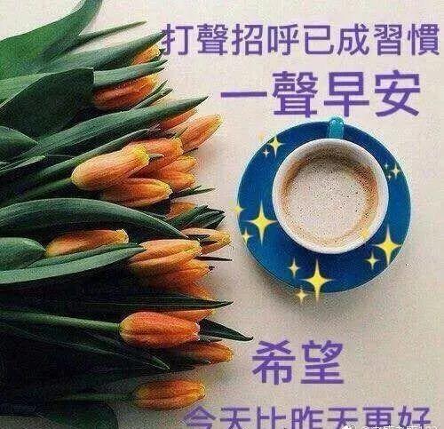 失去后才懂得珍惜，失去后才懂得珍惜的星座（才懂得珍惜；失去多了）