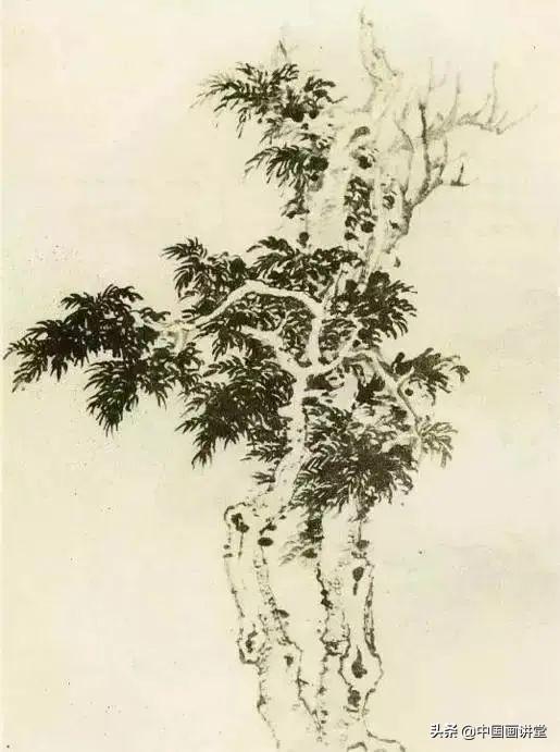 大树怎么画，大树怎么画的特别好看（缠枝、挺杆、屈节、钮裂、一棵树如何画）