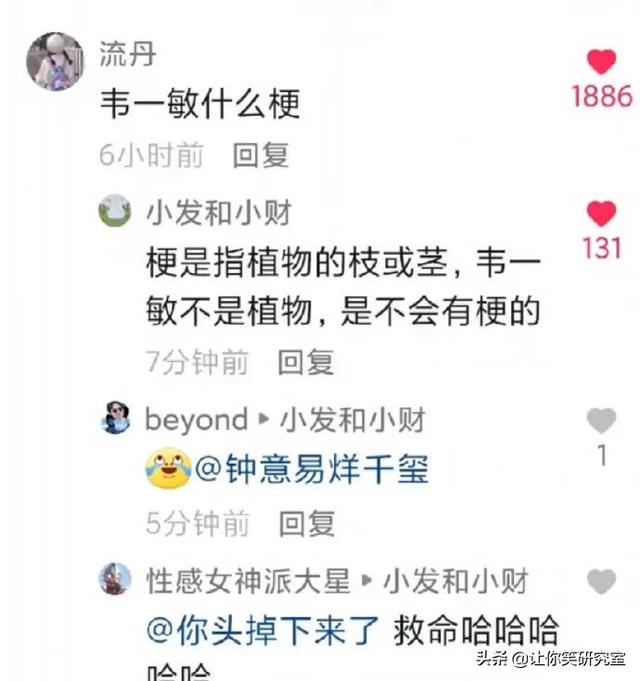 你再骂是什么梗，你再骂的梗（哈哈韦一敏这盛世如你所愿）