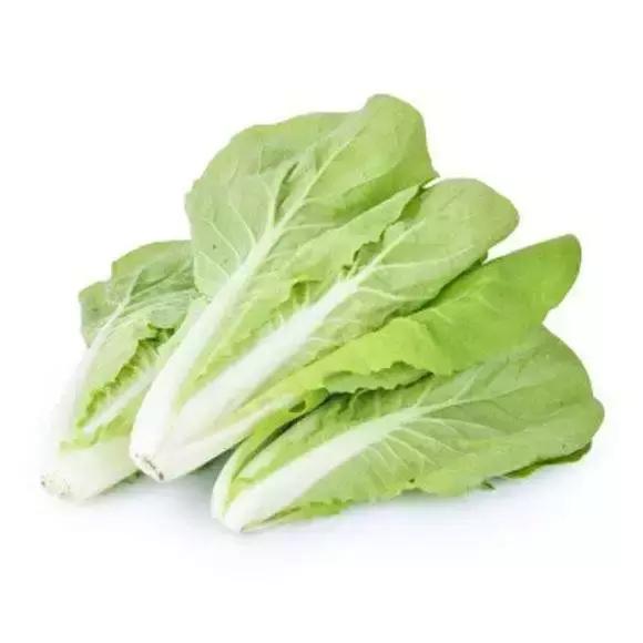 大头菜和卷心菜是一个菜吗，卷心菜和包菜的区别（12种蔬菜的N种四川喊法）