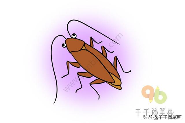 蚂蚁是不是昆虫，蚂蚁属于昆虫吗还是属于什么（儿童简笔画昆虫合集）