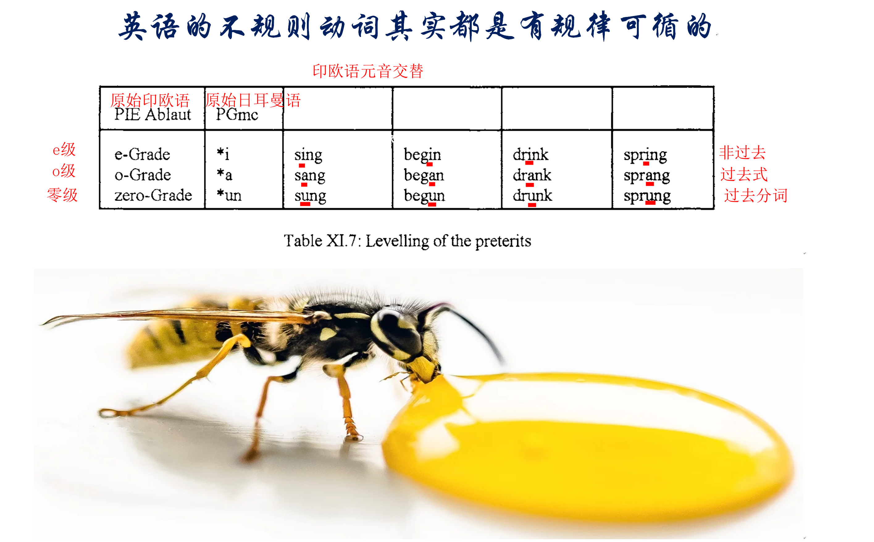 tender是什么意思，tender到底是什么意思（学习外语需要基本常识而不是复杂高深的学术用语）