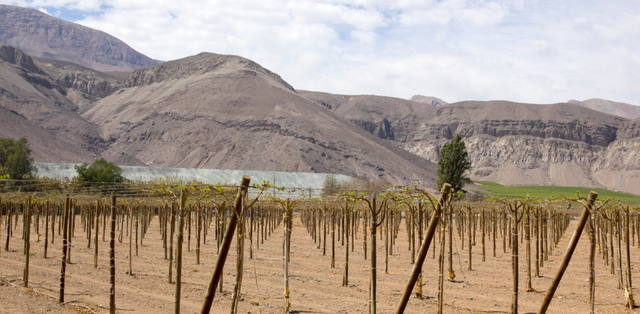 智利是发达国家吗，智利属于发达国家还是发展中国家（智利为何不是发达国家）