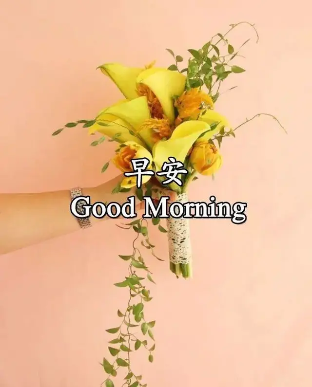 关于问心无愧的语录，问心有愧的句子（努力做好一个问心无愧的自己）