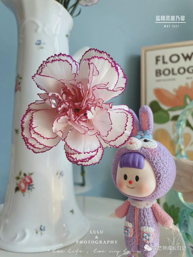 康乃馨花语，康乃馨花语22朵代表什么（却要叫蓝精灵的康乃馨~vol.3）