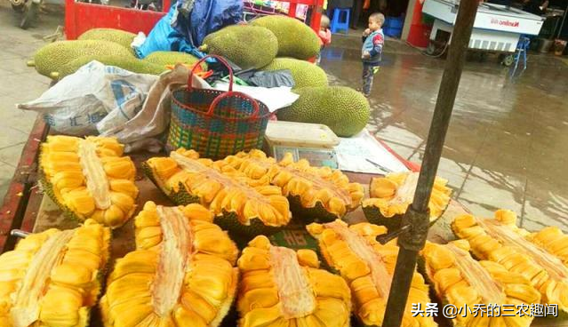 为什么菠萝蜜有脚臭味，菠萝蜜有脚臭味熟（如今6元1斤）