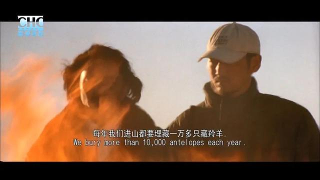 电影可可西里的故事原型是什么，可可西里主角原型（这部8.8分国产片终于有了结局）