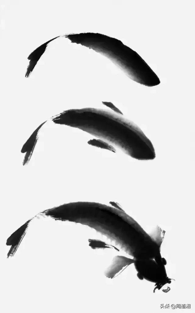 金鱼画法步骤图解,国画写意鲤鱼、金鱼的画法 金鱼画法步骤图解,国画写意鲤鱼、金鱼的画法