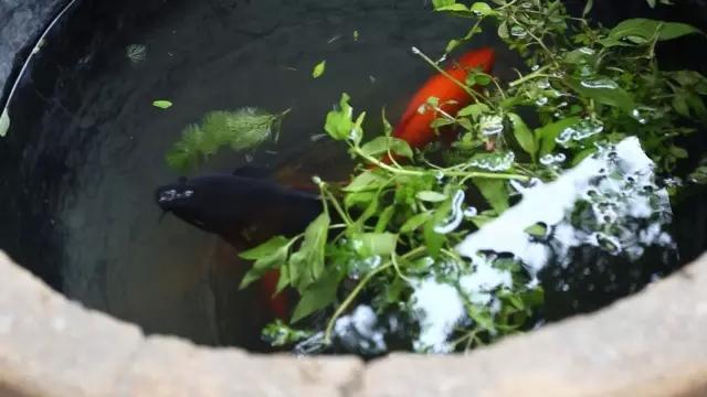cf寂静村怎么上房，cf寂静村怎么跳上高台（这座晚清废屋变成中式豪宅）