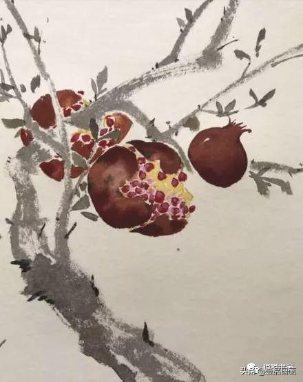 石榴简笔画画法，石榴的简笔画怎么画简单（花卉果蔬系列之石榴的写意画法）