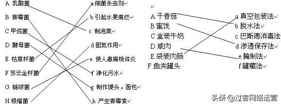 生物圈的范围，初中生物中考复习资料全