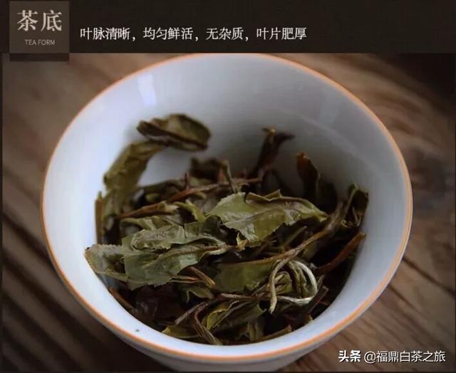 贡眉的功效与作用介绍，福鼎白茶—贡眉