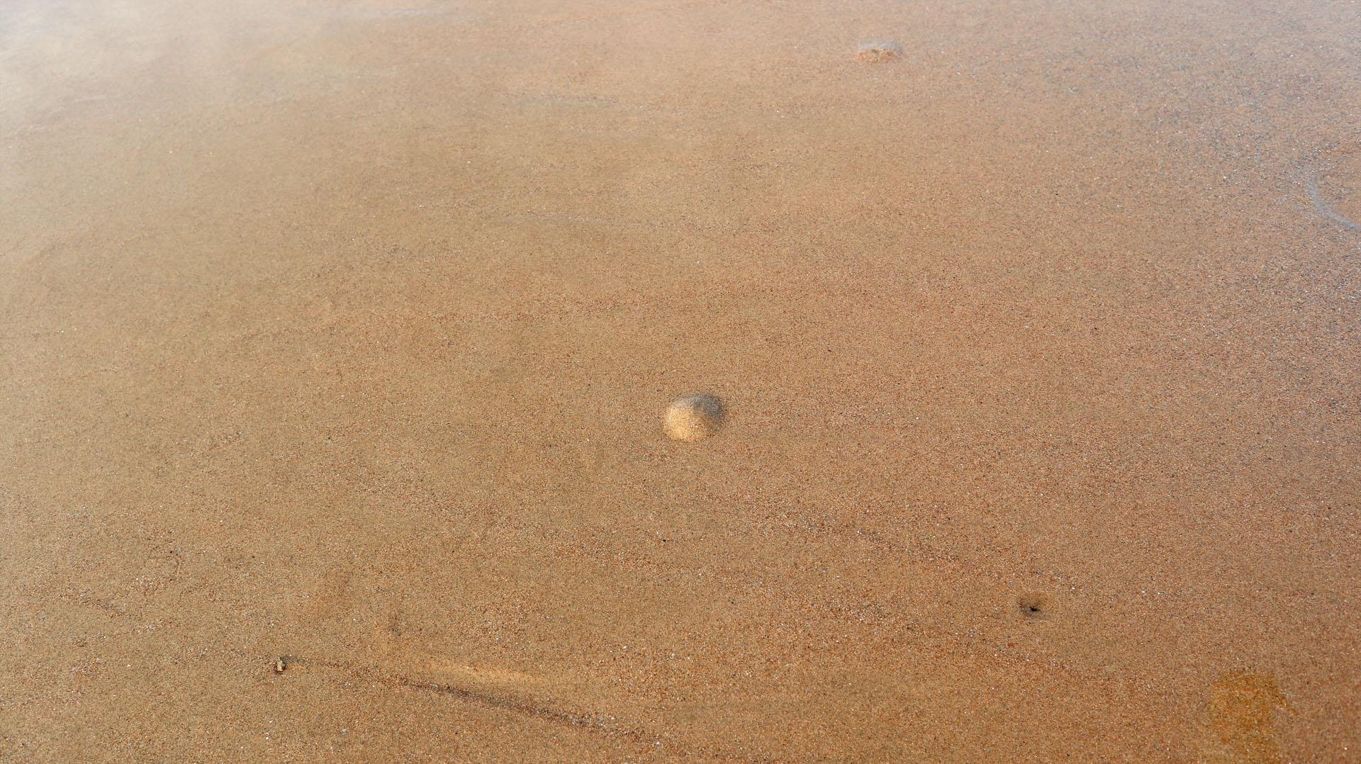 离济南最近的海边(滨州海边沙滩在哪里)