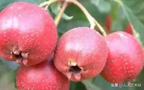 山东诸城的具体资料，诸城百度百科（诸城简历竟然是这样的）