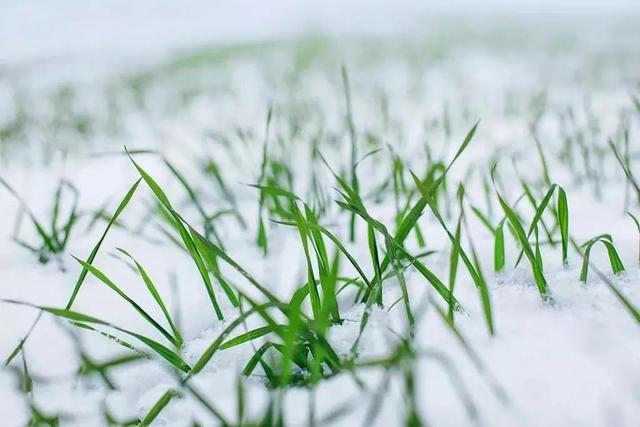 结婚当天下雨好不好有什么讲究，结婚当天下午下雨好吗（俗语“雨里夫妻泪交流）