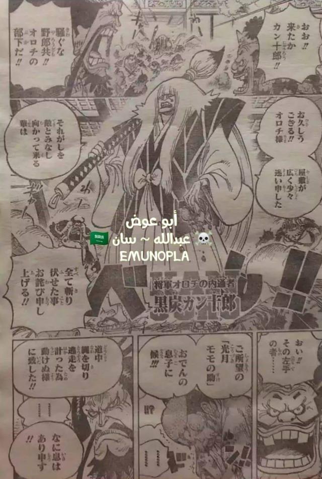 982是什么意思（海贼王982话全图情报+大量补充翻译）