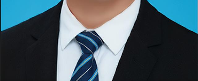 矢量图是什么意思，矢量图是什么 AI（位图转换为矢量图——基于VectorMagic的操作）