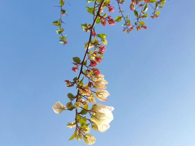 古诗300首有哪些，53首古诗三首（《唐诗三百首》中最美的10首诗）