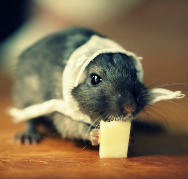 闰月是什么意思，闰月怎么算出来的,有什么规律（为何偏要设立366天的闰年）