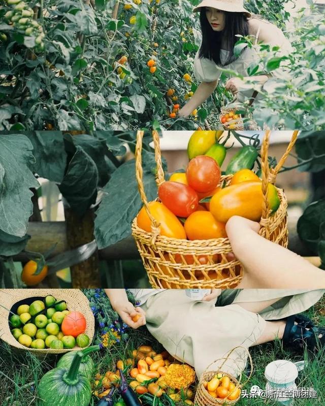 团建项目有哪些，在宿舍的团建项目有哪些（最适合秋天的五大团建项目）