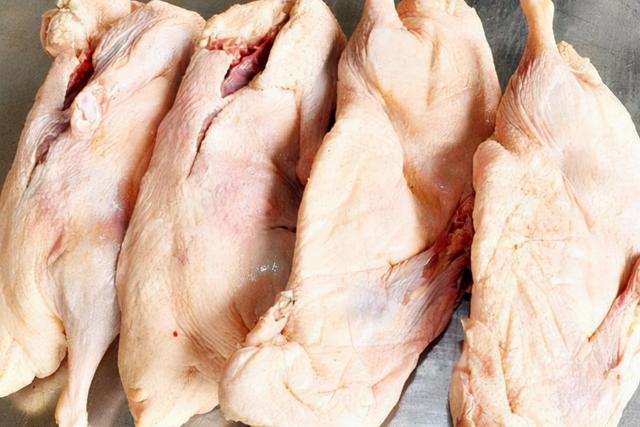 鸭子和鹅的区别，鸭子跟鹅区别在哪里（鸭子和鹅的区别是什么）