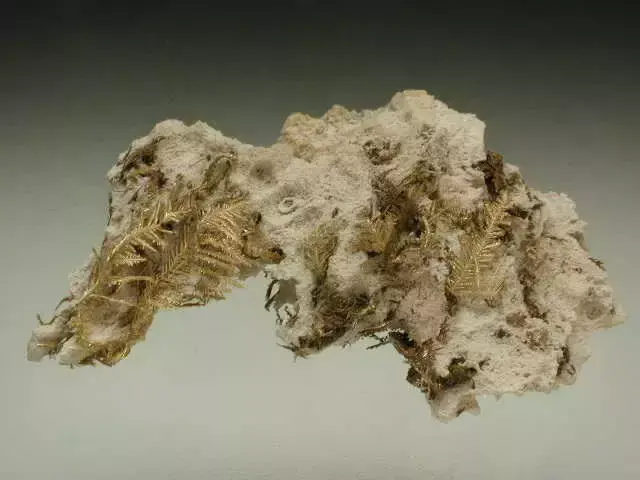 金矿石原石图片(金矿石原石多少钱一斤)