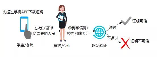 福建师范大学学工系统，福建师范大学教务管理系统官网登录入口（福建师范大学上线可信电子服务平台）