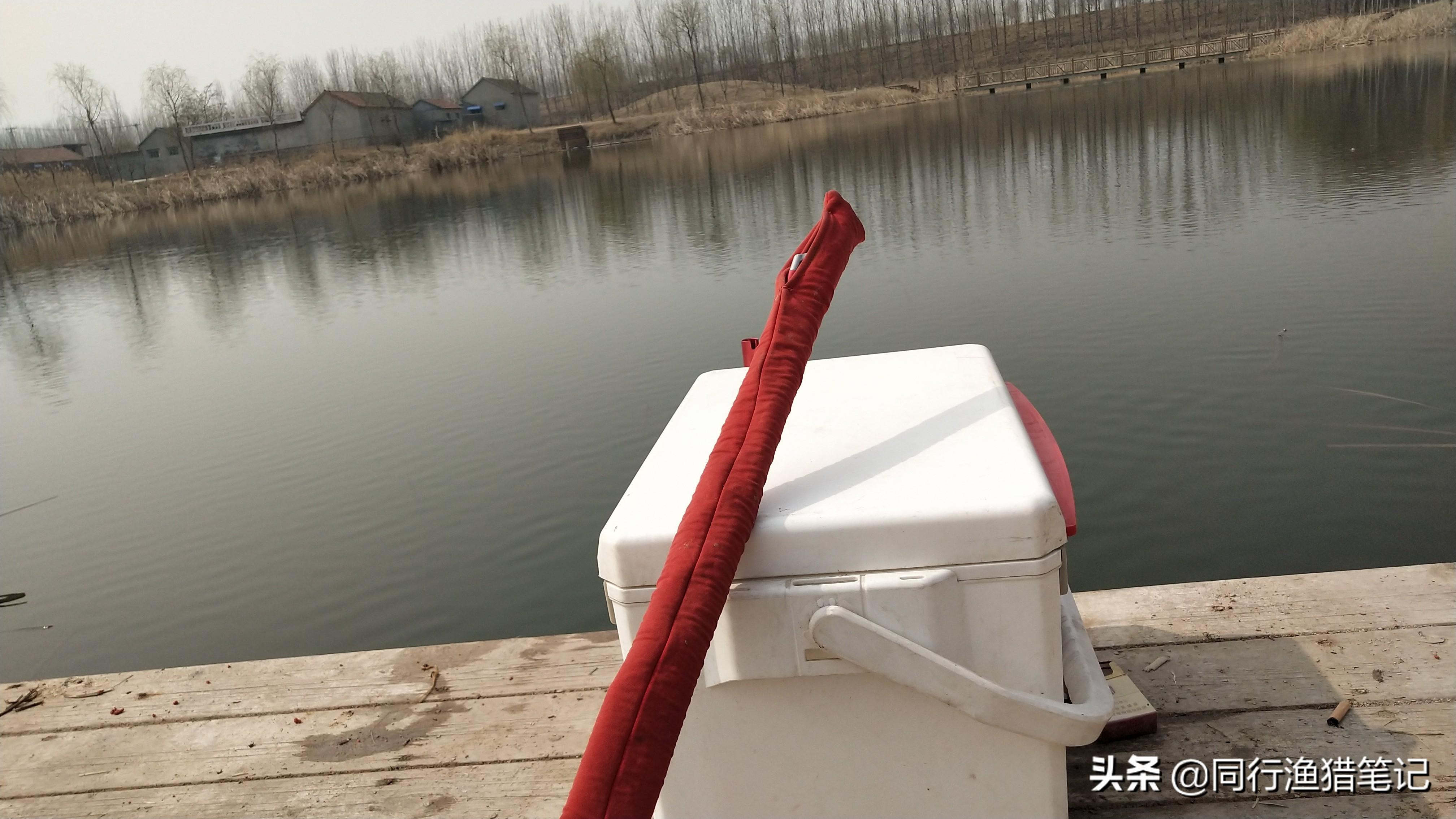 钓鱼123网站：专业垂钓指南与实战技巧分享平台，助您轻松成为钓鱼高手