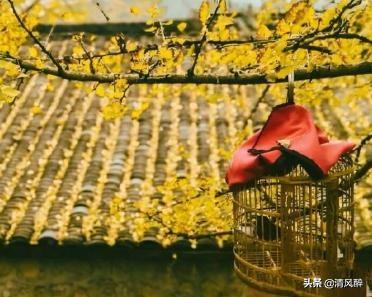 撩人语录，撩人语录一问一答（撩人、调皮的暖心说说句子）