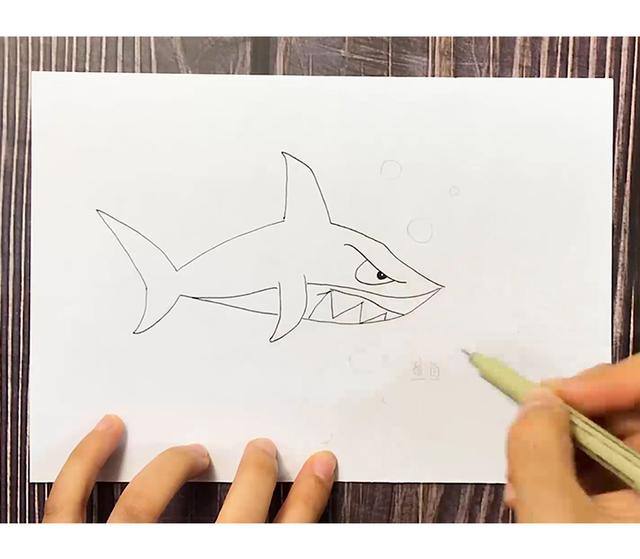 卡通鲨鱼怎么画，鲨鱼和蓝鲸的简单卡通画法（凶狠的鲨鱼图文教程）