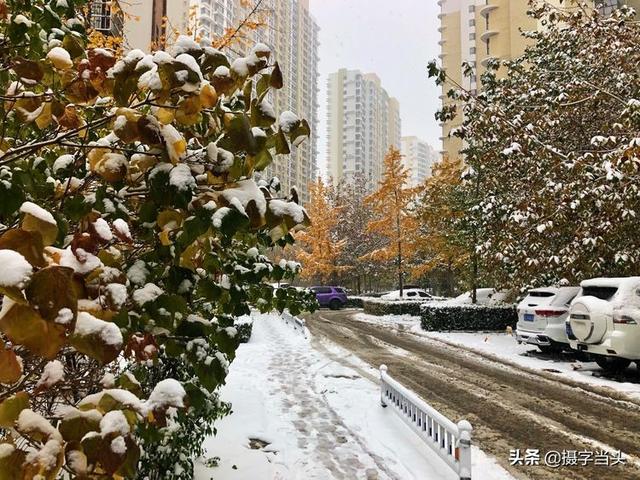 情侣唯美雪景图片，情侣唯美雪景图片真实（冬日初雪印象：一半冬雪）
